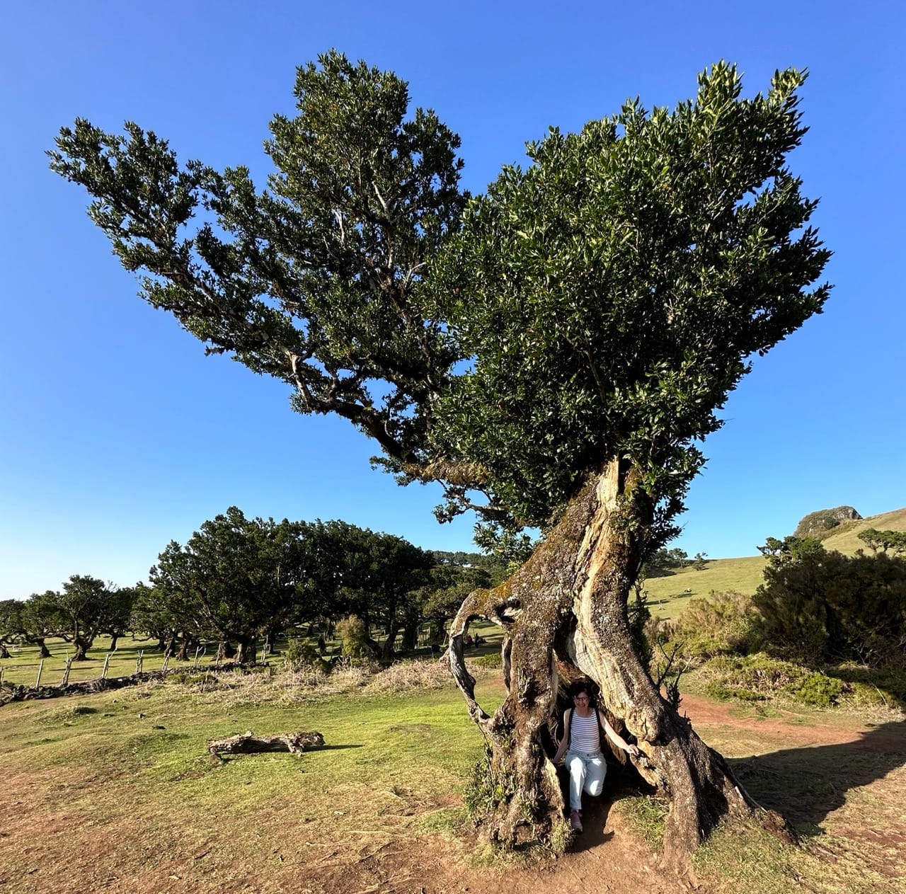 How to navigate change successfully - Part 1