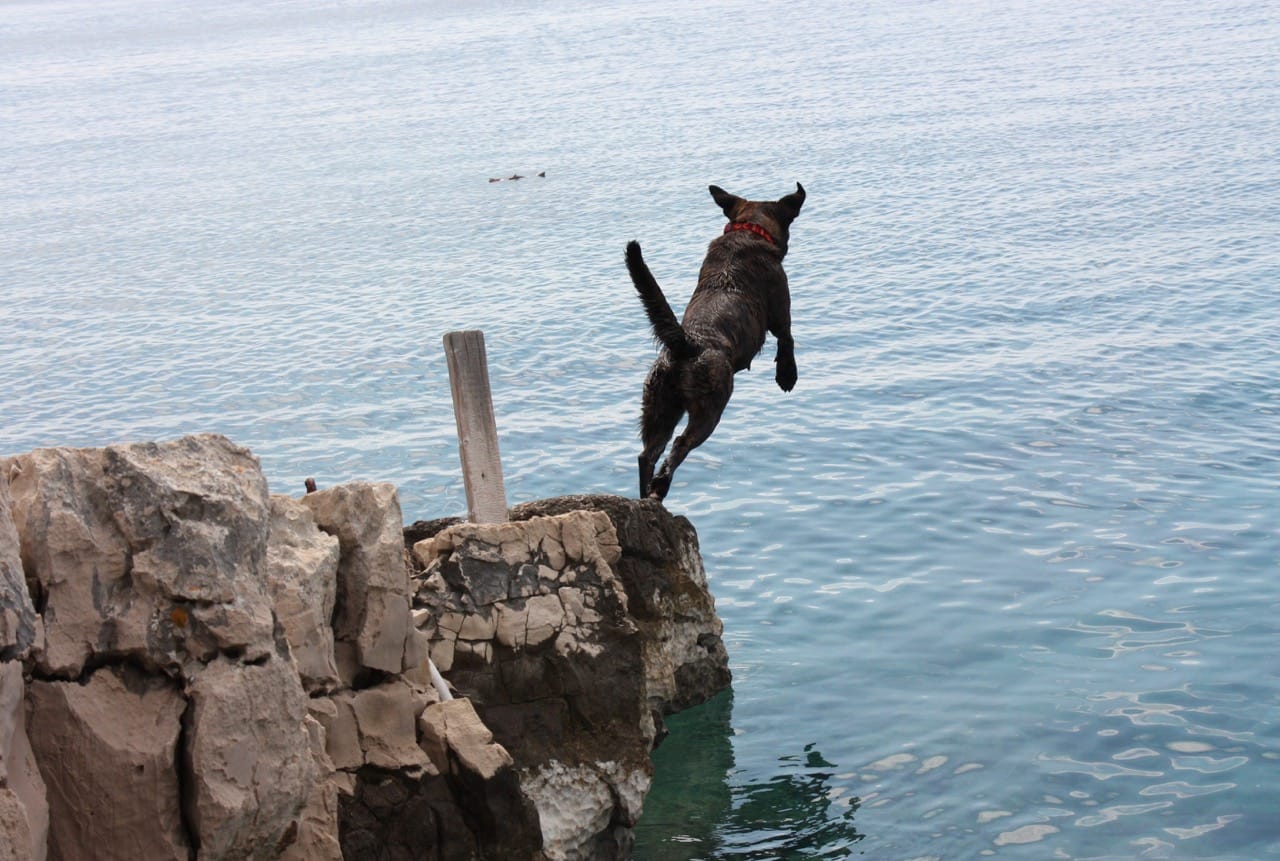 Entrepreneurship: Sprung in die Selbstständigkeit - von der Idee zum Erfolg